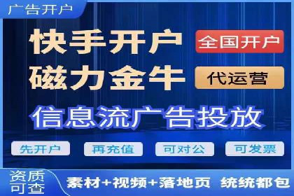 SEM代理操作技巧：成功案例揭秘